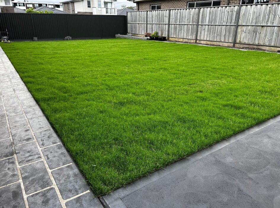 Turf Installation